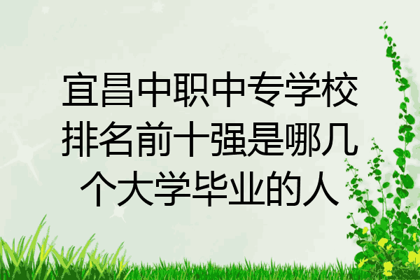宜昌中职中专学校排名前十强是哪几个大学毕业的人