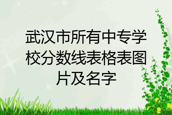 武汉市所有中专学校分数线表格表图片及名字