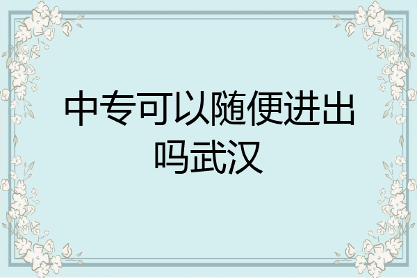 中专可以随便进出吗武汉