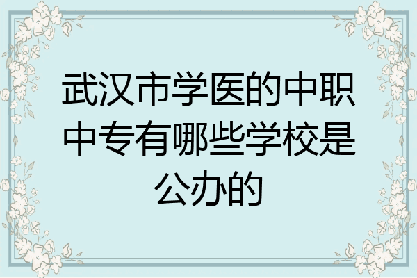 武汉市学医的中职中专有哪些学校是公办的