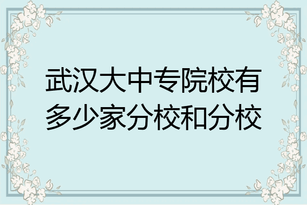 武汉大中专院校有多少家分校和分校