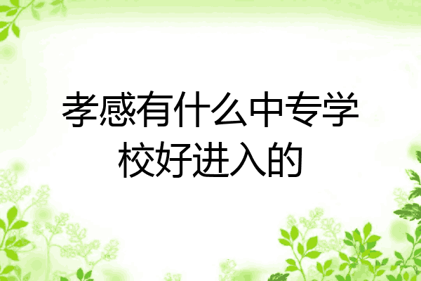 孝感有什么中专学校好进入的