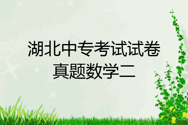 湖北中专考试试卷真题数学二