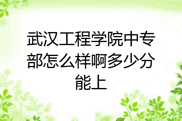 武汉工程学院中专部怎么样啊多少分能上