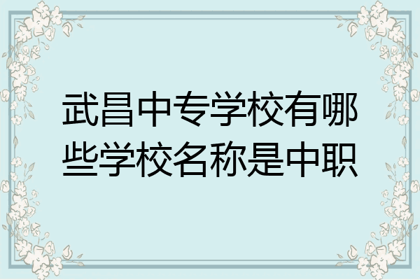 武昌中专学校有哪些学校名称是中职