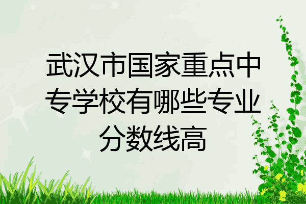 武汉市国家重点中专学校有哪些专业分数线高