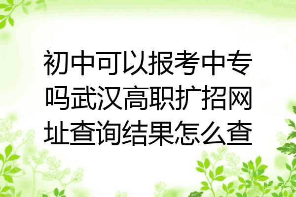 初中可以报考中专吗武汉高职扩招网址查询结果怎么查