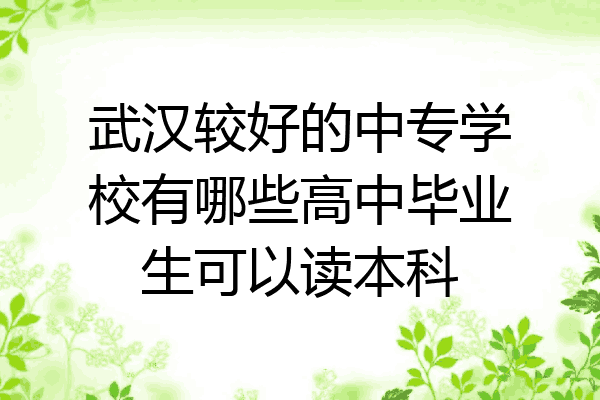 武汉较好的中专学校有哪些高中毕业生可以读本科