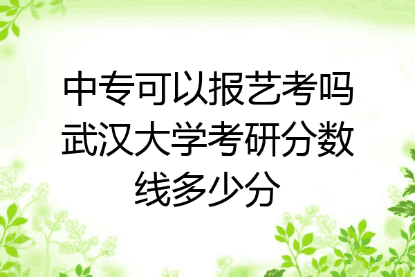 中专可以报艺考吗武汉大学考研分数线多少分
