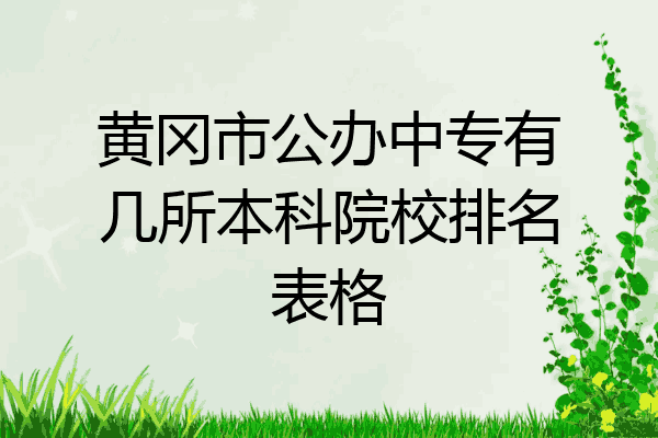 黄冈市公办中专有几所本科院校排名表格