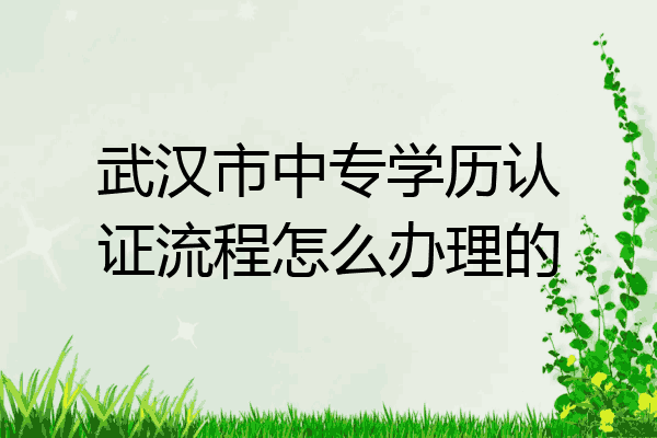 武汉市中专学历认证流程怎么办理的
