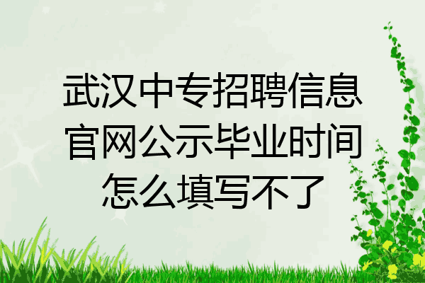 武汉中专招聘信息官网公示毕业时间怎么填写不了