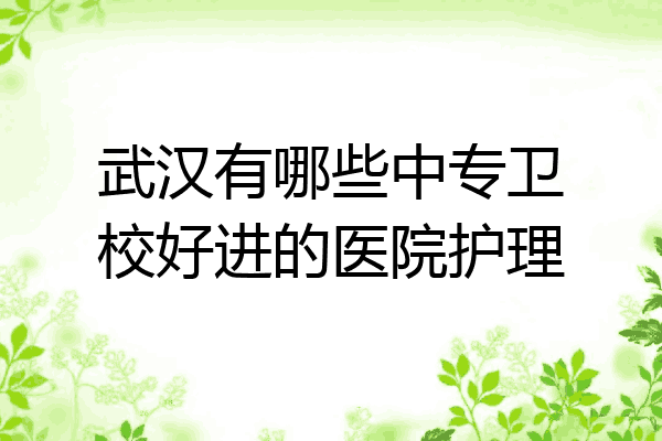 武汉有哪些中专卫校好进的医院护理