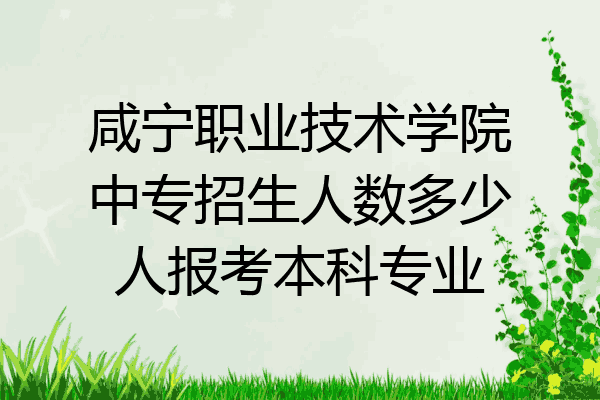 咸宁职业技术学院中专招生人数多少人报考本科专业