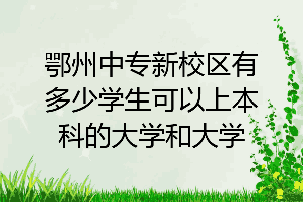 鄂州中专新校区有多少学生可以上本科的大学和大学