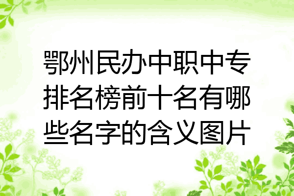 鄂州民办中职中专排名榜前十名有哪些名字的含义图片