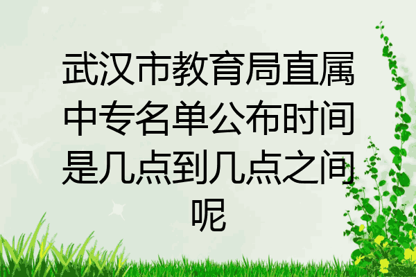 武汉市教育局直属中专名单公布时间是几点到几点之间呢