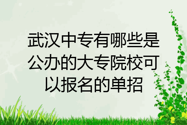 武汉中专有哪些是公办的大专院校可以报名的单招