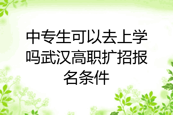 中专生可以去上学吗武汉高职扩招报名条件