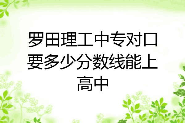 罗田理工中专对口要多少分数线能上高中