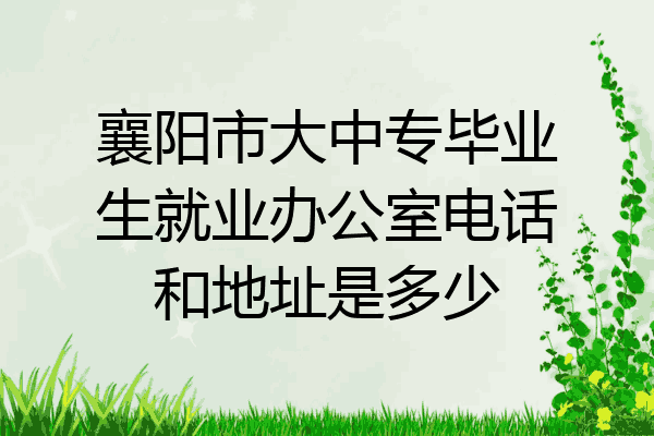襄阳市大中专毕业生就业办公室电话和地址是多少