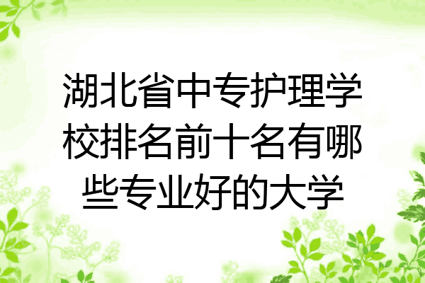湖北省中专护理学校排名前十名有哪些专业好的大学
