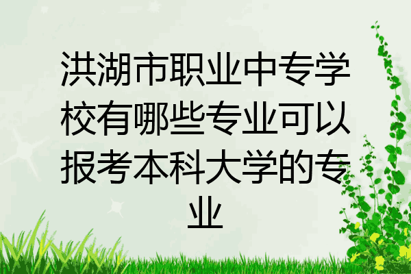 洪湖市职业中专学校有哪些专业可以报考本科大学的专业