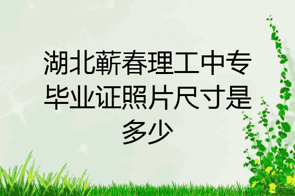 湖北蕲春理工中专毕业证照片尺寸是多少