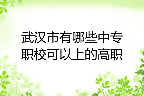 武汉市有哪些中专职校可以上的高职
