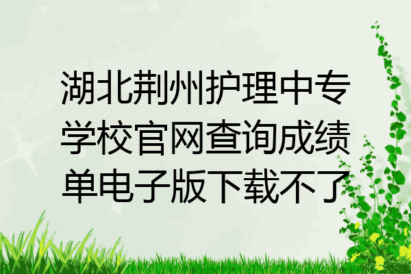 湖北荆州护理中专学校官网查询成绩单电子版下载不了