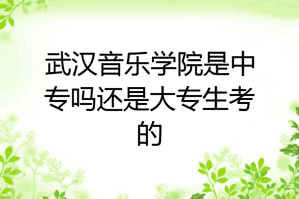 武汉音乐学院是中专吗还是大专生考的