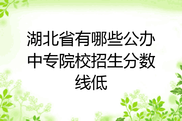 湖北省有哪些公办中专院校招生分数线低
