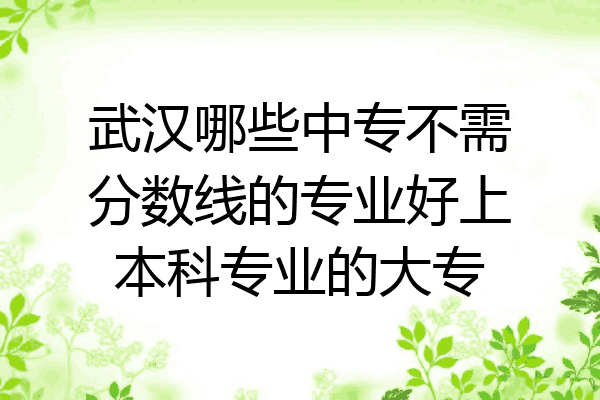 武汉哪些中专不需分数线的专业好上本科专业的大专