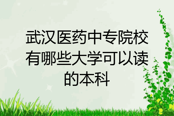 武汉医药中专院校有哪些大学可以读的本科