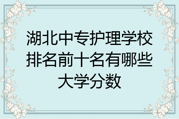 湖北中专护理学校排名前十名有哪些大学分数
