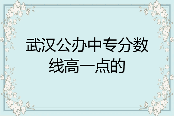 武汉公办中专分数线高一点的