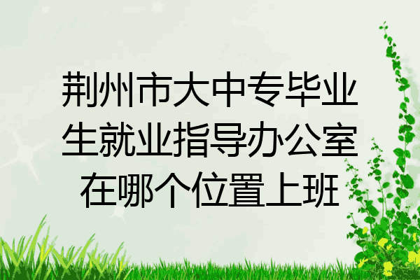 荆州市大中专毕业生就业指导办公室在哪个位置上班