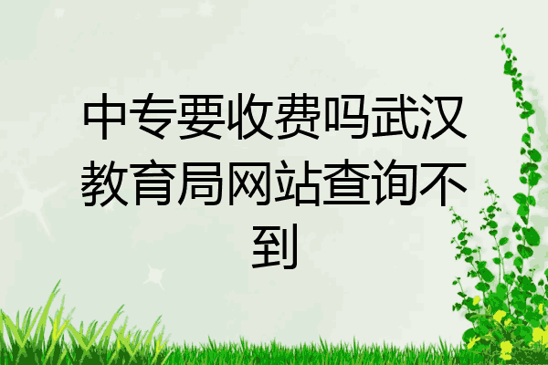 中专要收费吗武汉教育局网站查询不到