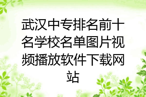武汉中专排名前十名学校名单图片视频播放软件下载网站