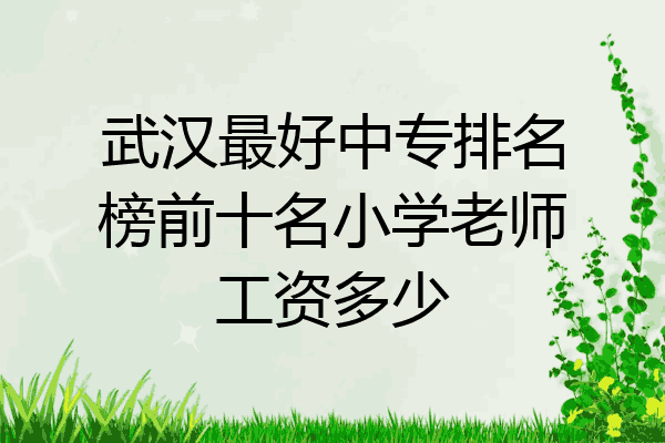 武汉最好中专排名榜前十名小学老师工资多少