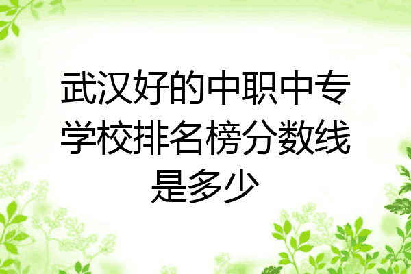 武汉好的中职中专学校排名榜分数线是多少