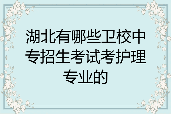 湖北有哪些卫校中专招生考试考护理专业的