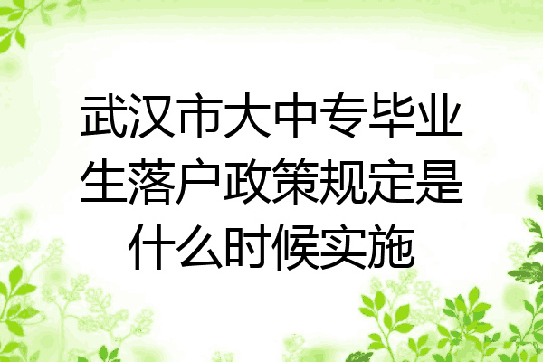 武汉市大中专毕业生落户政策规定是什么时候实施