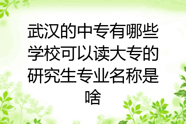 武汉的中专有哪些学校可以读大专的研究生专业名称是啥