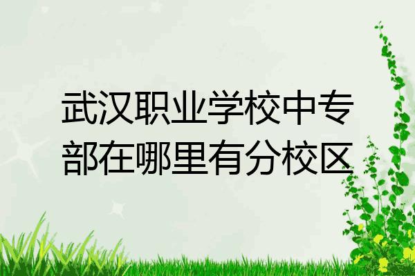 武汉职业学校中专部在哪里有分校区