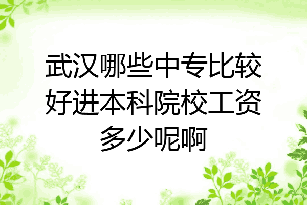 武汉哪些中专比较好进本科院校工资多少呢啊