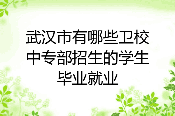武汉市有哪些卫校中专部招生的学生毕业就业