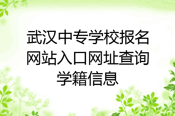 武汉中专学校报名网站入口网址查询学籍信息