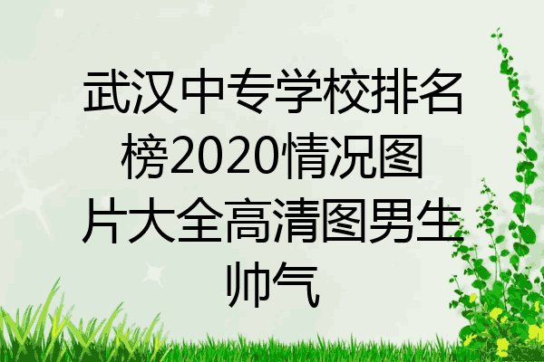 武汉中专学校排名榜2020情况图片大全高清图男生帅气
