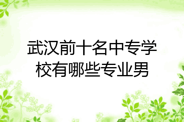 武汉前十名中专学校有哪些专业男